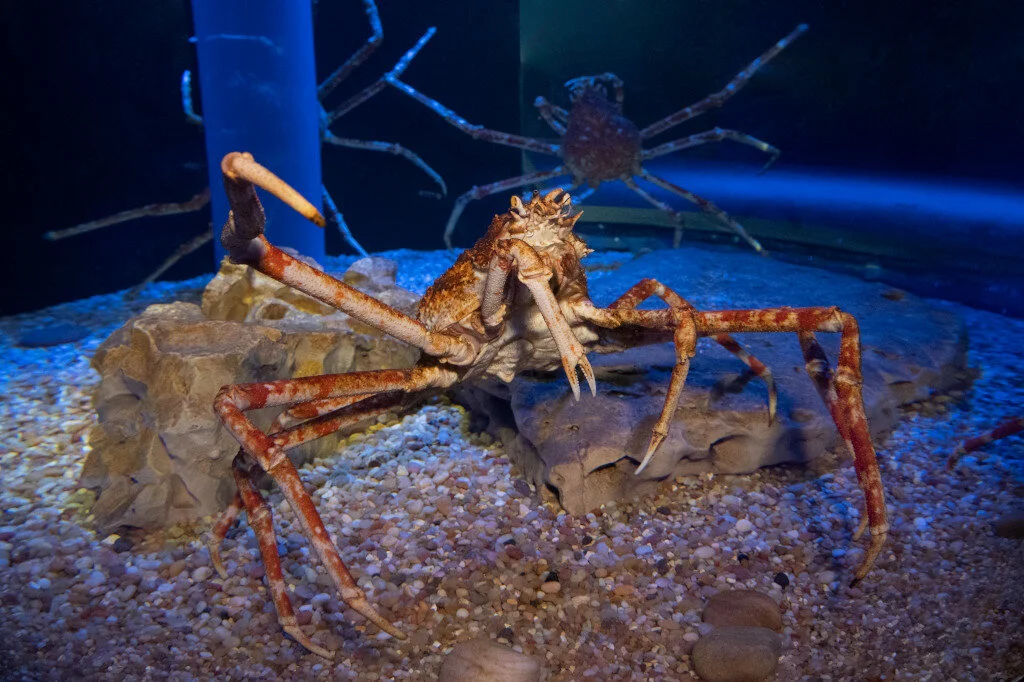 General 2 — NY Zoos & Aquarium Events & Catering
